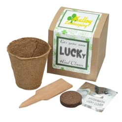 Growable Planter Gift Kit - Clovers