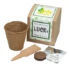 Growable Planter Gift Kit - Clovers - 24 hr