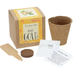 Growable Planter Gift Kit - Flowers - 24 hr