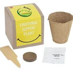 Growable Planter Gift Kit - Inspirational Emotional Support Plant