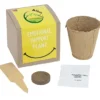 Growable Planter Gift Kit - Inspirational Emotional Support Plant - 24 hr