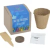 Growable Planter Gift Kit - Inspirational Rooting For You