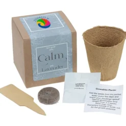 Growable Planter Gift Kit - Lavender - 24 hr