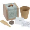 Growable Planter Gift Kit - Lemon Balm - 24 hr
