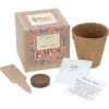 Growable Planter Gift Kit - Pumpkin