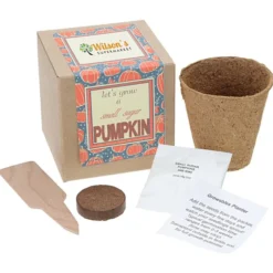 Growable Planter Gift Kit - Pumpkin