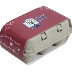 Grow Your Own Winter Wonderland