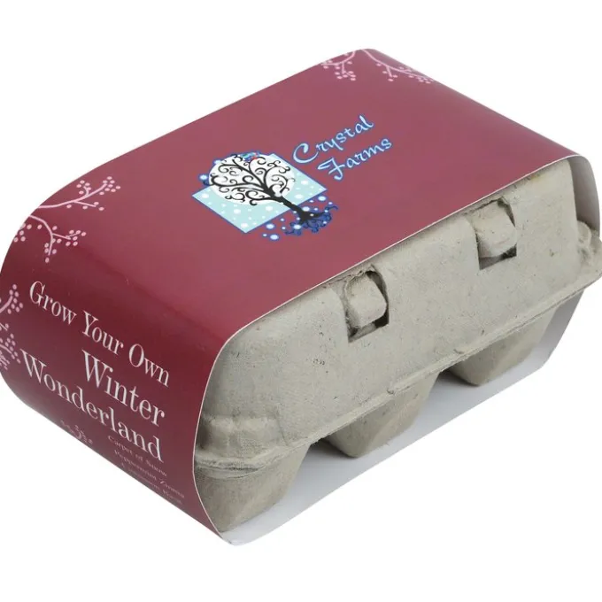 Grow Your Own Winter Wonderland