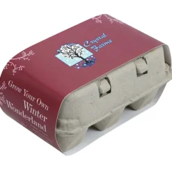 Grow Your Own Winter Wonderland - 24 hr
