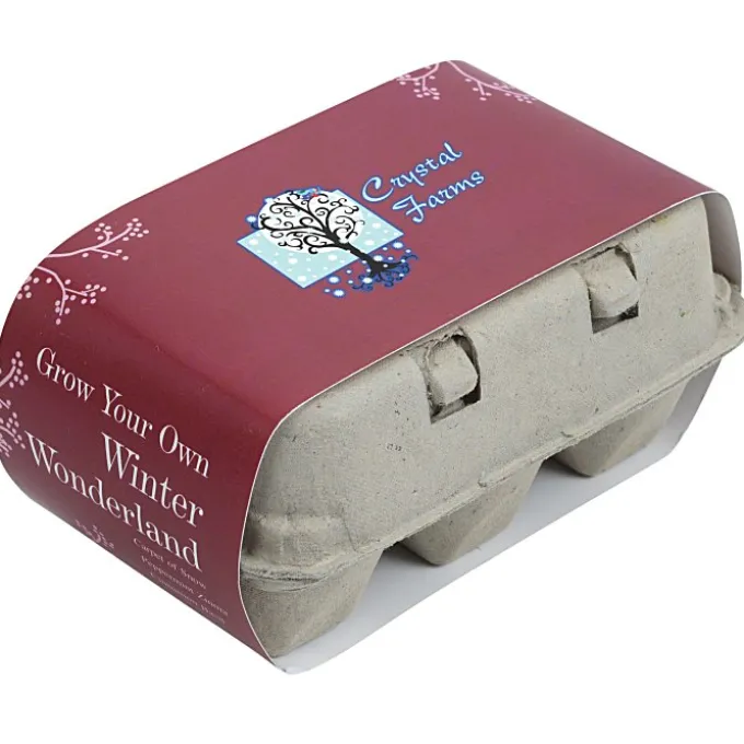 Grow Your Own Winter Wonderland - 24 hr