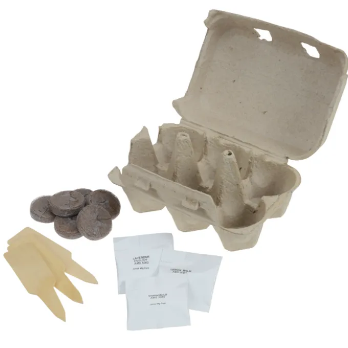 Grow Your Own Zen Herb Garden