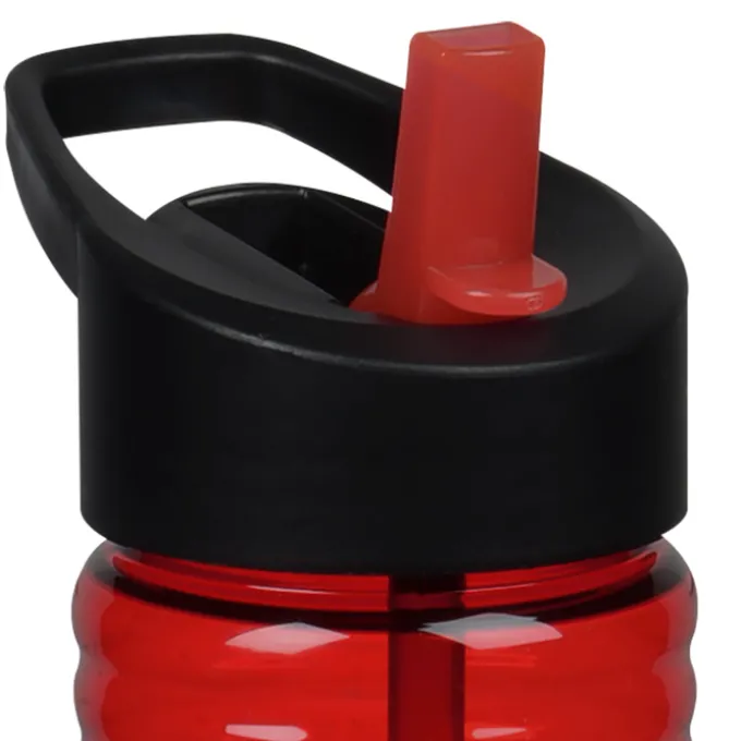 Halcyon Water Bottle with Two-Tone Flip Straw Lid - 24 oz