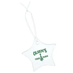 Hammered Glass Ornament - Star