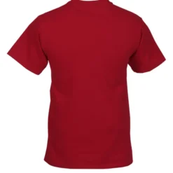 Hanes Authentic T-Shirt - Screen - Colors - Tech Design