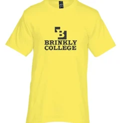Hanes Beefy-T - Screen