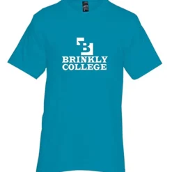 Hanes Beefy-T - Screen