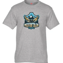 Hanes 50/50 ComfortBlend T-Shirt - Full Color