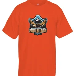 Hanes 50/50 ComfortBlend T-Shirt - Full Color