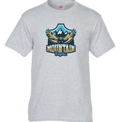 Hanes 50/50 ComfortBlend T-Shirt - Full Color