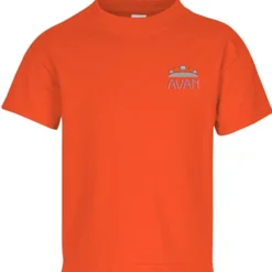 Hanes 50/50 ComfortBlend T-Shirt - Youth - Embroidered