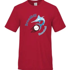 Hanes Cool-Dri Cotton Touch T-Shirt - Full Color