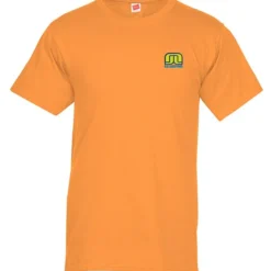 Hanes Essential-T T-Shirt - Men's - Embroidered