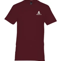 Hanes Perfect-T - Men's