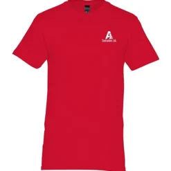 Hanes Perfect-T - Men's