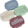 Harvest Bento Lunch Box