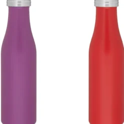 h2go Carina Vacuum Bottle - 17 oz.
