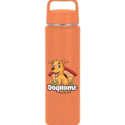 h2go Crux Stainless Bottle - 30 oz. - Full Color