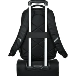 High Sierra Everyday Backpack