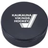 Hockey Puck Stress Reliever