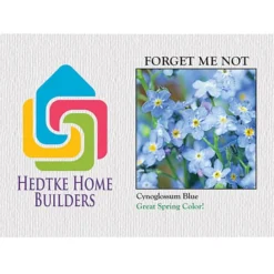 Impression Series Seed Packet - Forget Me Not