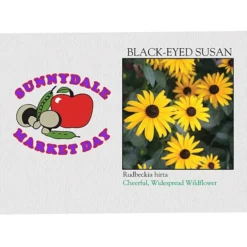 Impression Series Seed Packet - Black-Eyed Susan