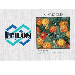 Impression Series Seed Packet - Marigold
