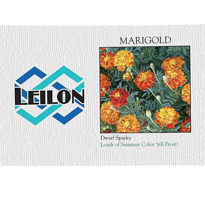 Impression Series Seed Packet - Marigold