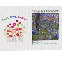 Impression Series Seed Packet - Texas Bluebonnet