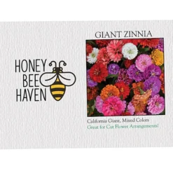 Impression Series Seed Packet - Giant Zinnia