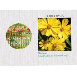 Impression Series Seed Packet - Coreopsis