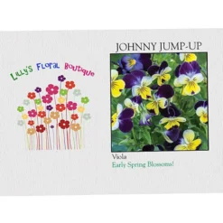 Impression Series Seed Packet - Johnny Jump-Up