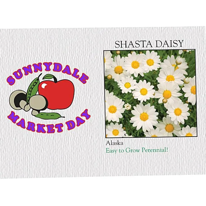 Impression Series Seed Packet - Shasta Daisy