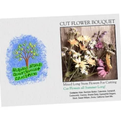 Impression Series Seed Packet - Cut Flower Bouquet