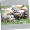 4 inches x 6 inches Brushed Aluminum Split Frame