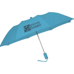 42-inch Folding Umbrella with Auto Open - Solid - 42-inch Arc - 24 hr