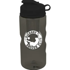 Infuser Mini Mountain Bottle with Flip Lid - 22 oz