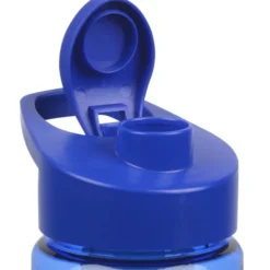 Infuser Mini Mountain Bottle with Flip Carry Lid - 22 oz