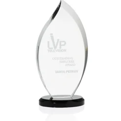 Innovation Crystal Award - 10 inches