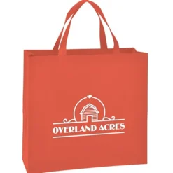 Jefferson Shopper Tote- 17 inches x 18 inches