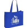 Jumbo Hook and Loop Closure Tote